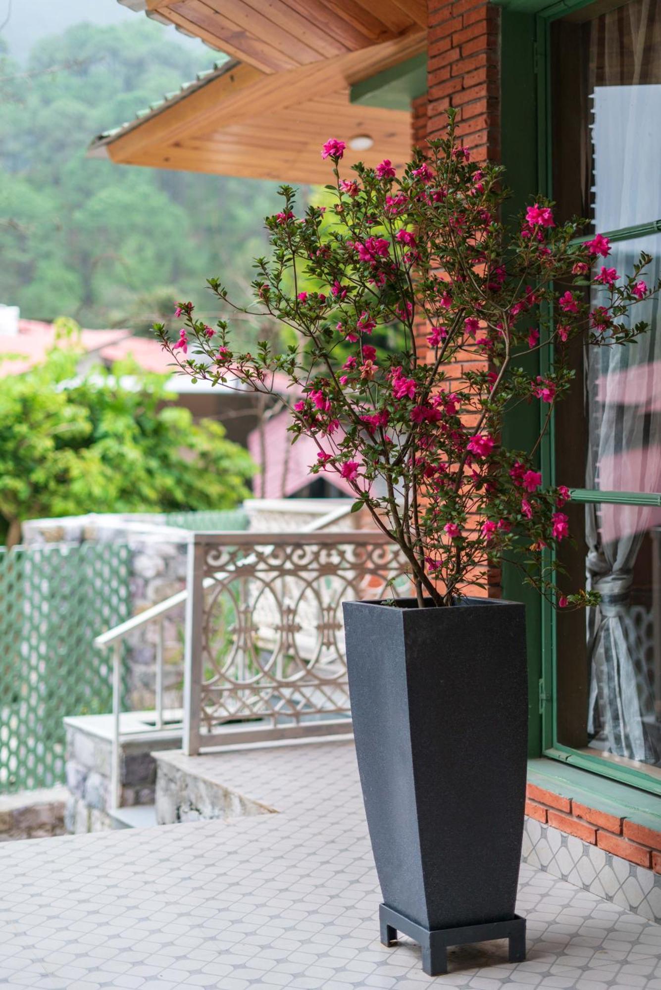 Casa Bhimtal别墅 外观 照片